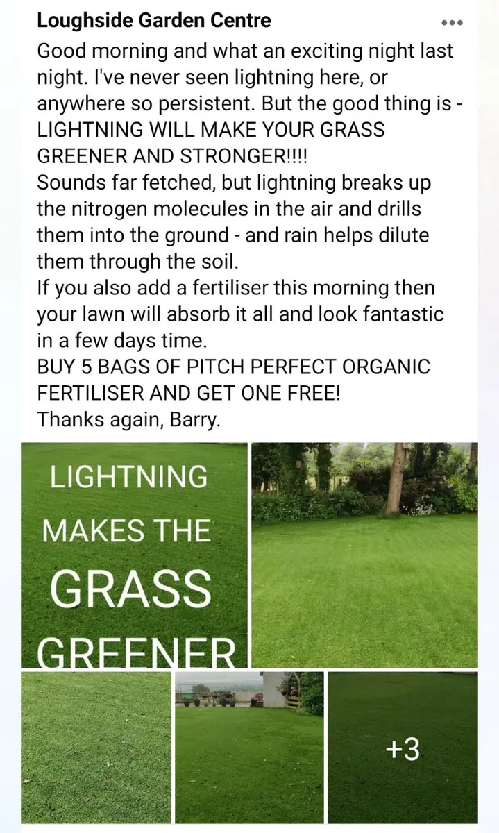 Lawn fertilser - Image 1