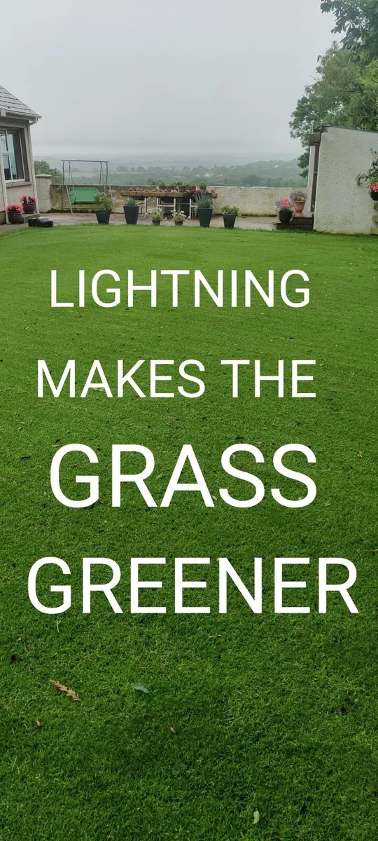 Lawn fertilser - Image 2