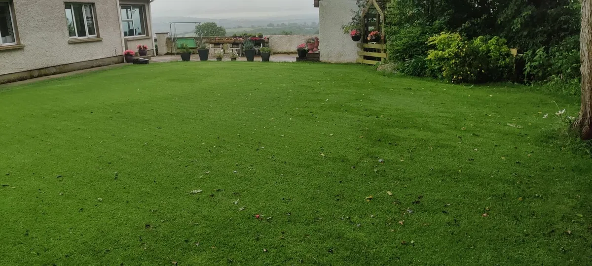 Lawn fertilser - Image 3