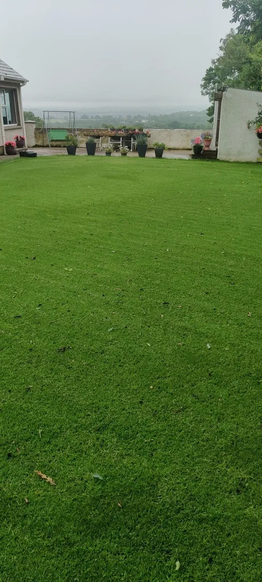 Lawn fertilser - Image 4