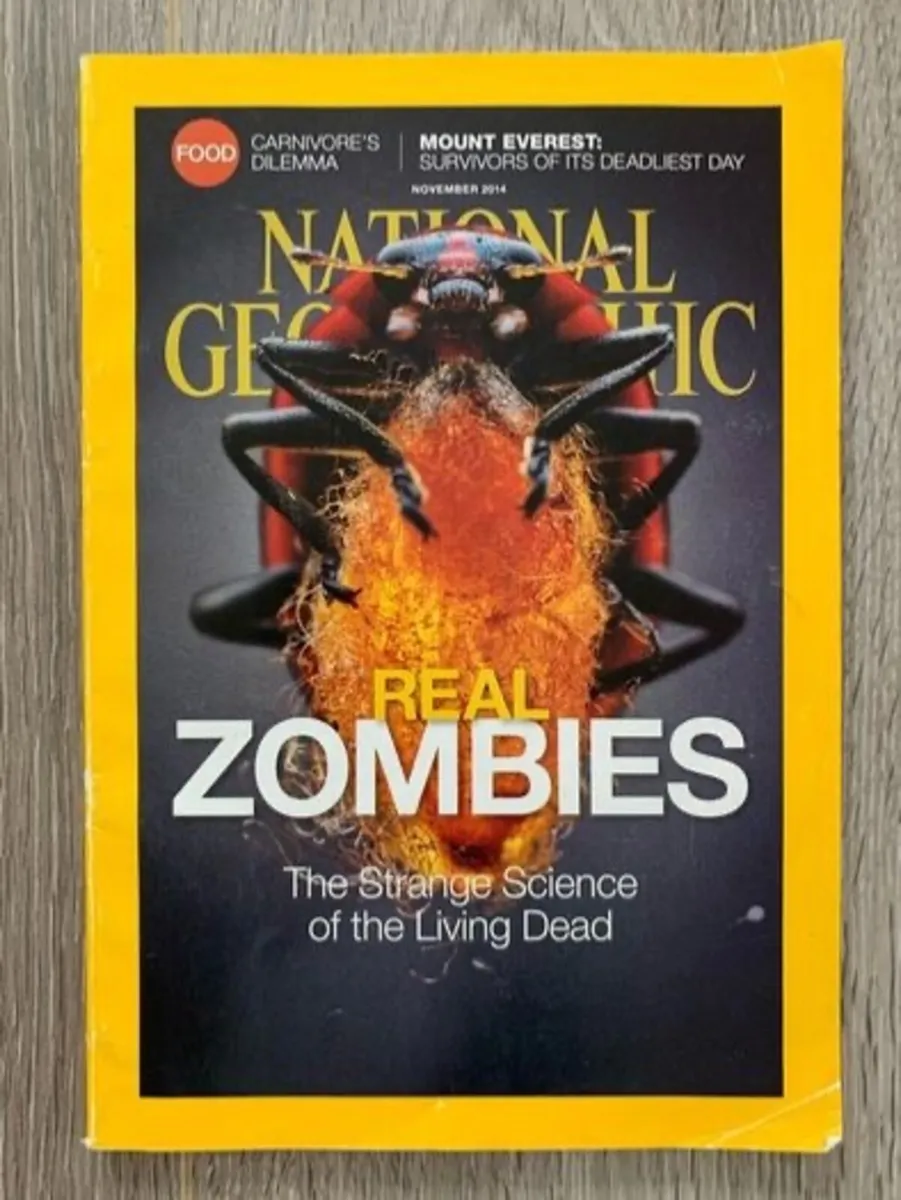 National Geographic 2014  Zombies