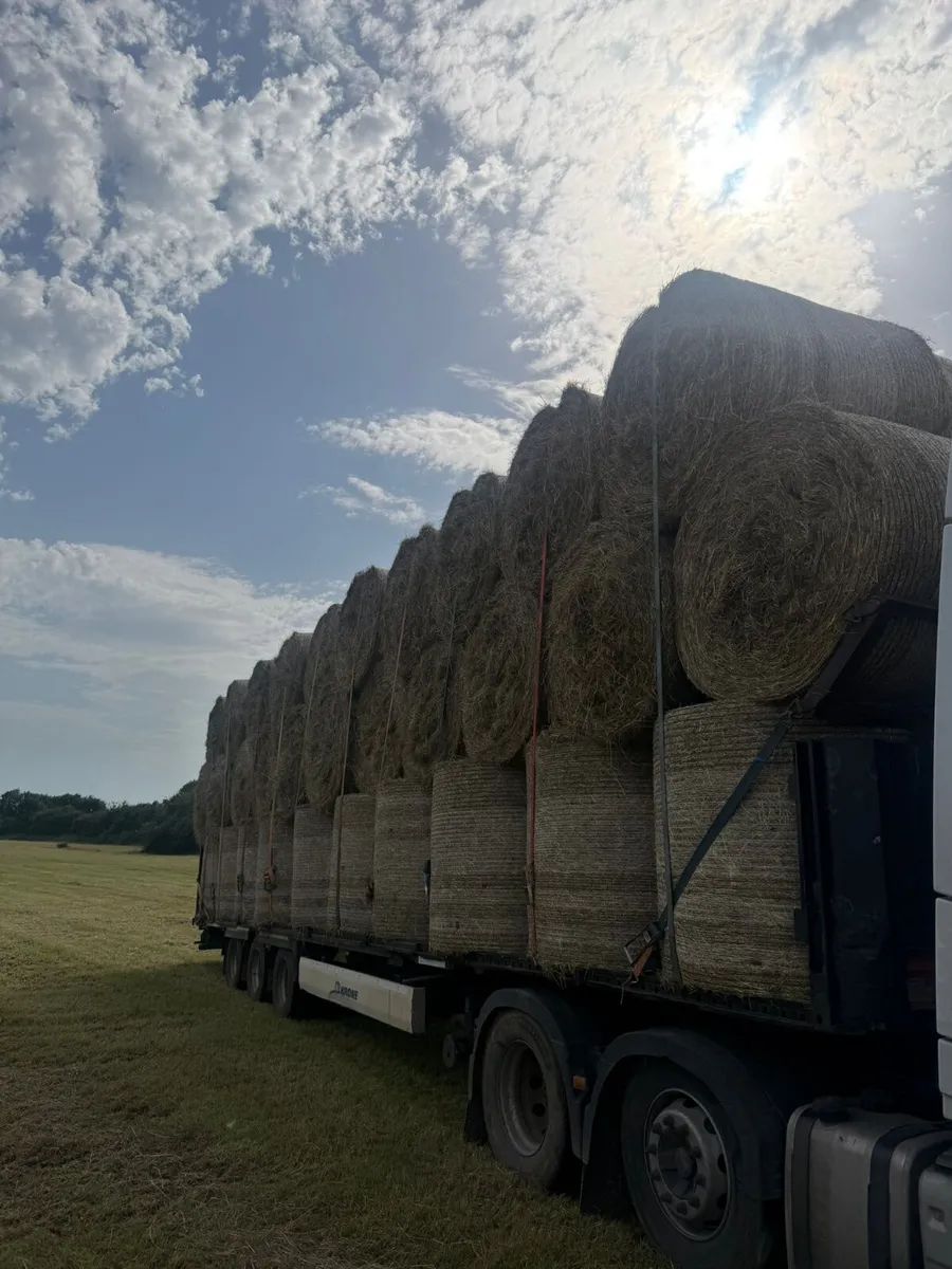 2nd Crop Hay - Delivered - Image 3