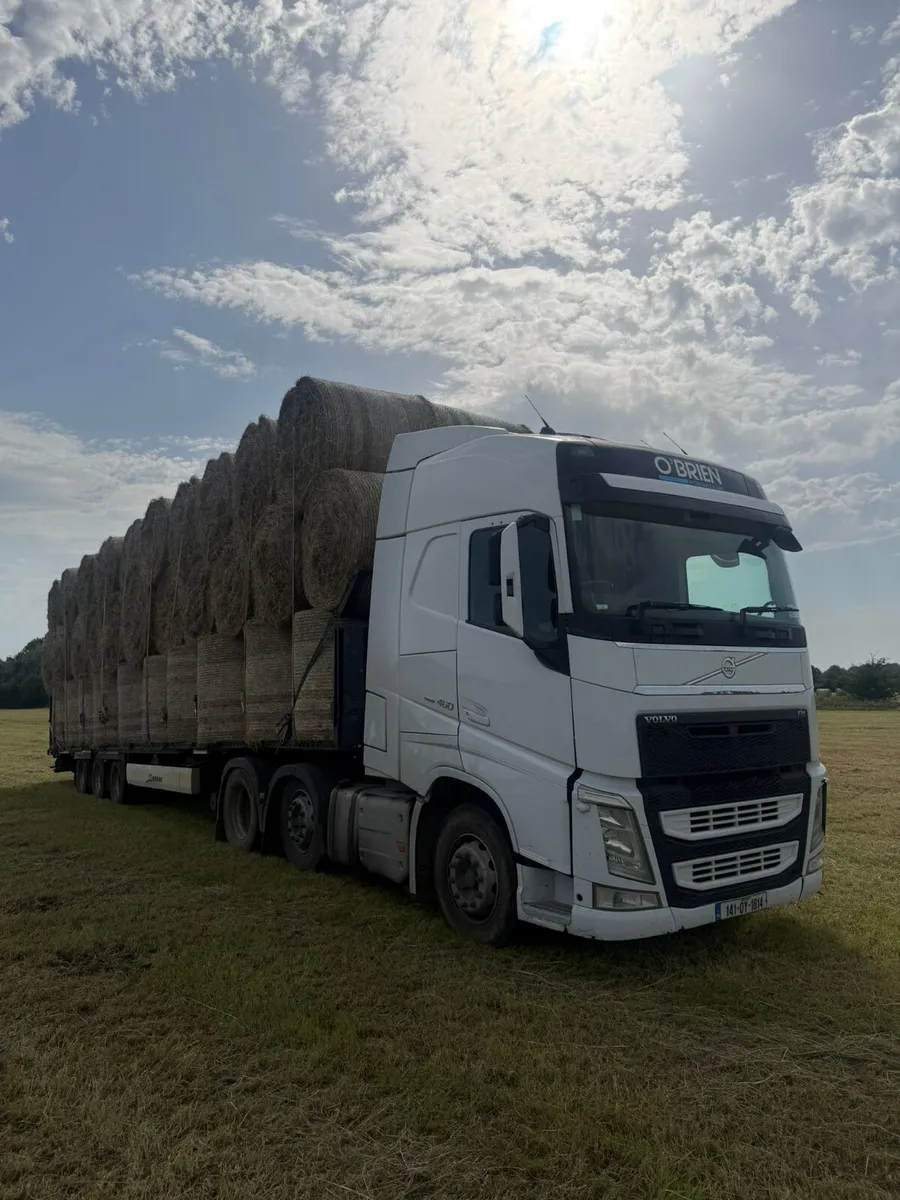 2nd Crop Hay - Delivered - Image 2