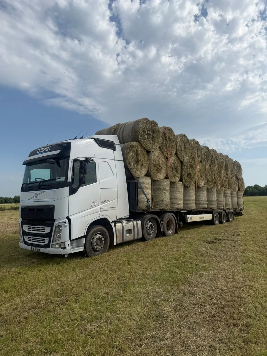 2nd Crop Hay - Delivered - Image 4