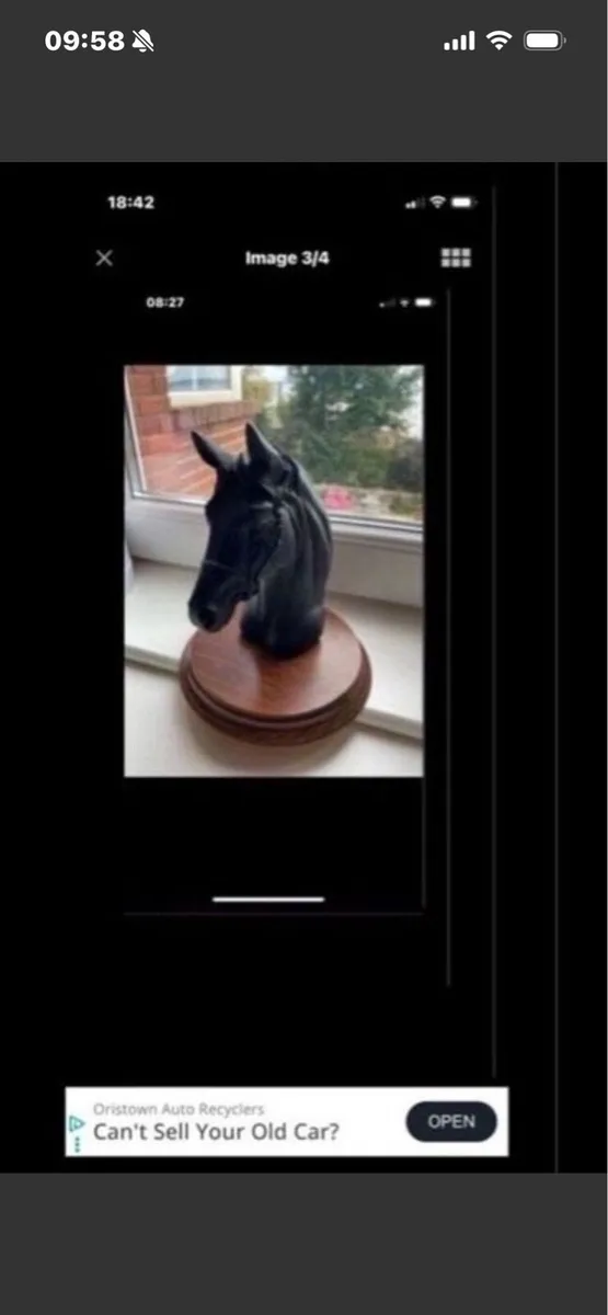 Vintage Horse Head Display - Image 1