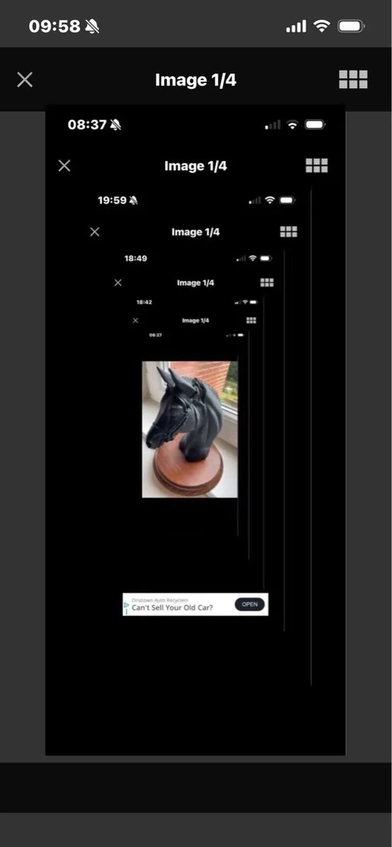 Vintage Horse Head Display - Image 2