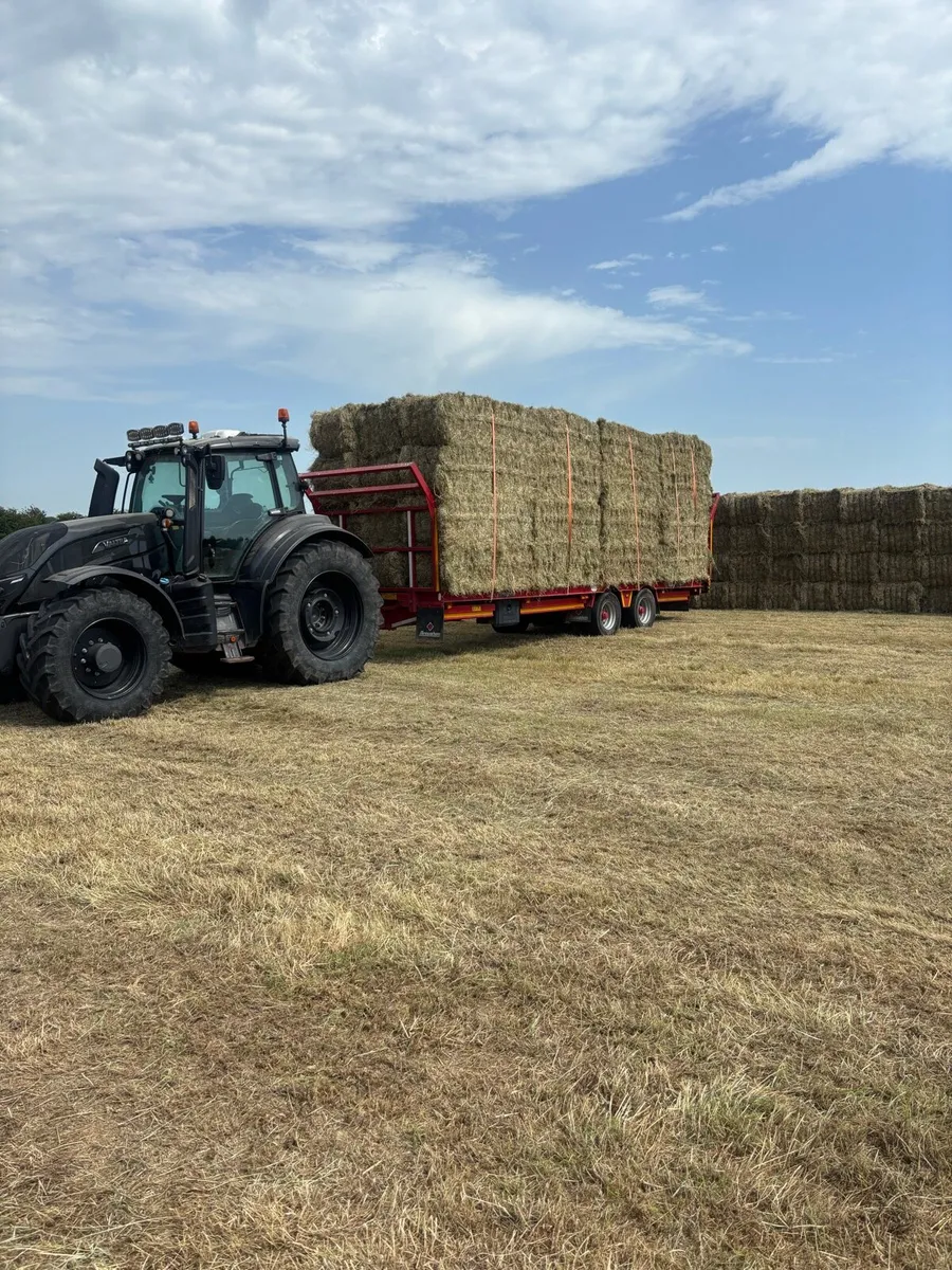 2026 straw and Hay delivered - Image 3