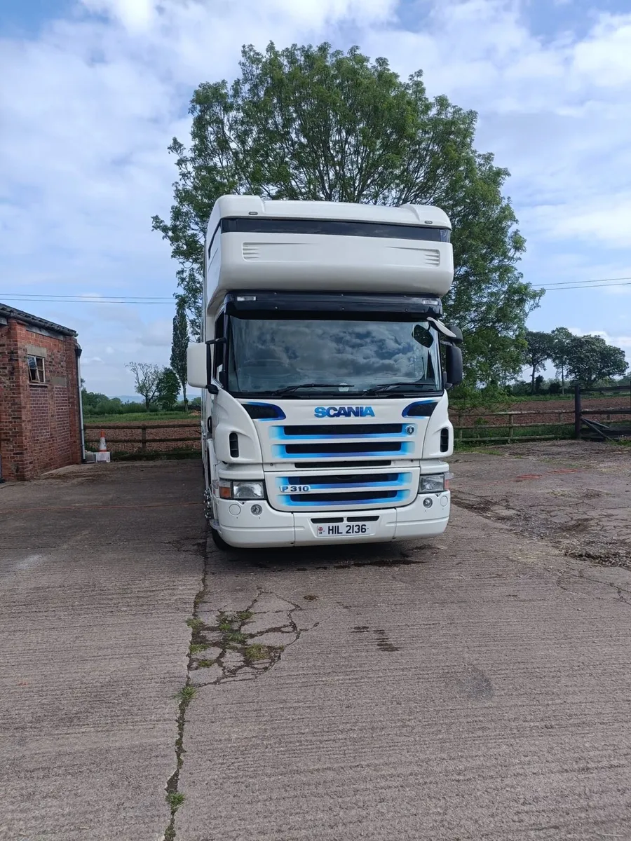 Horse lorry - Image 2