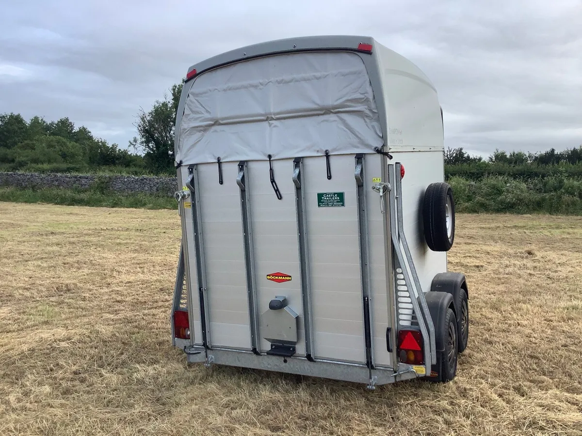 Bockmann champion esprit horse box - Image 3