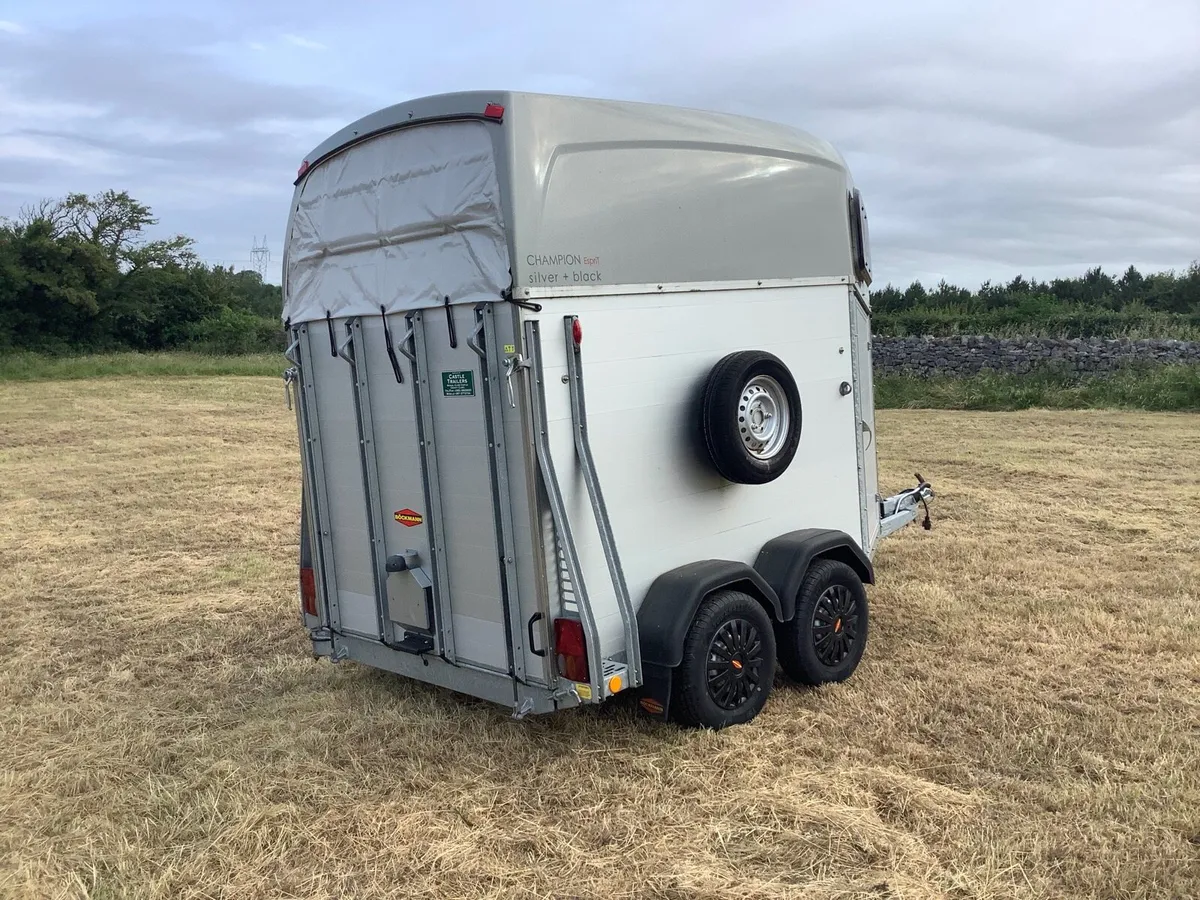 Bockmann champion esprit horse box - Image 2