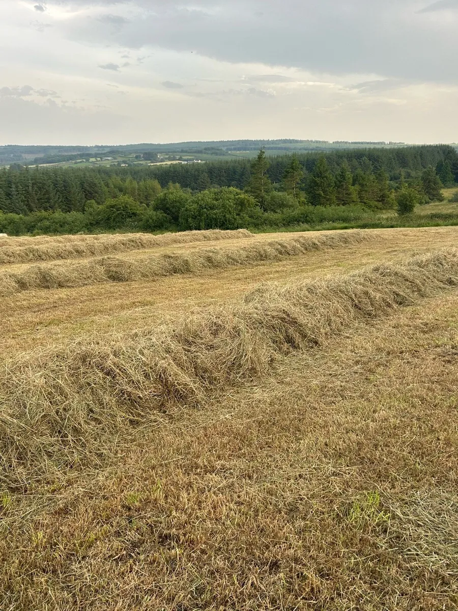Hay bales - Image 4