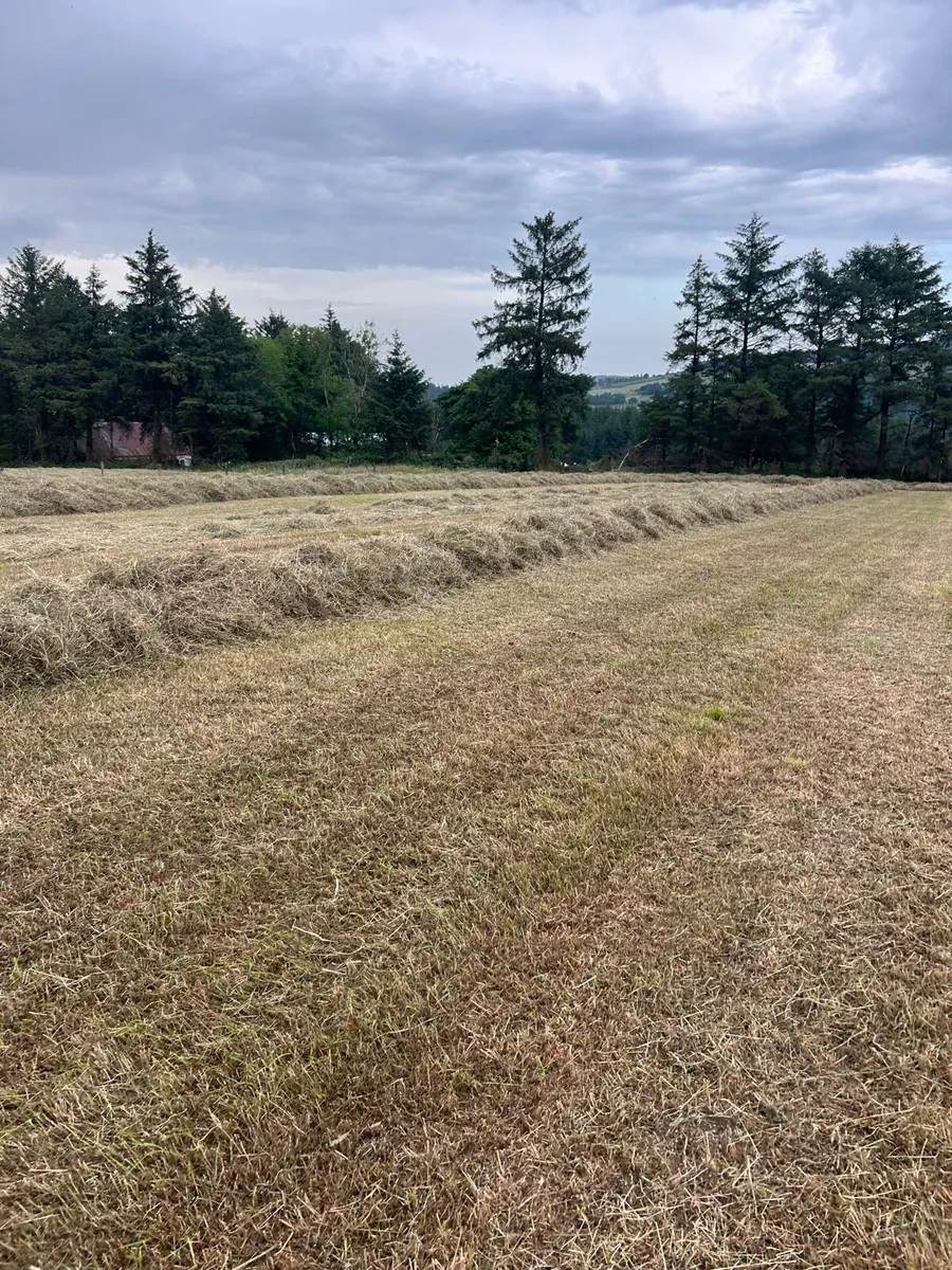 Hay bales - Image 3