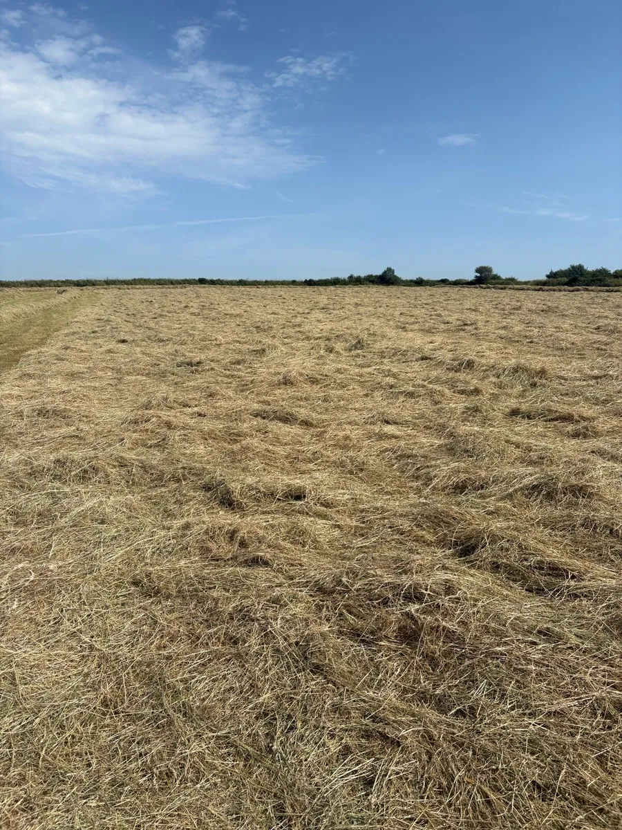 Hay and haylage for sale - Image 2