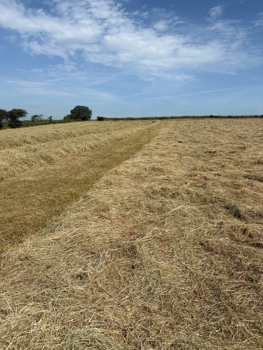 Hay and haylage for sale - Image 1