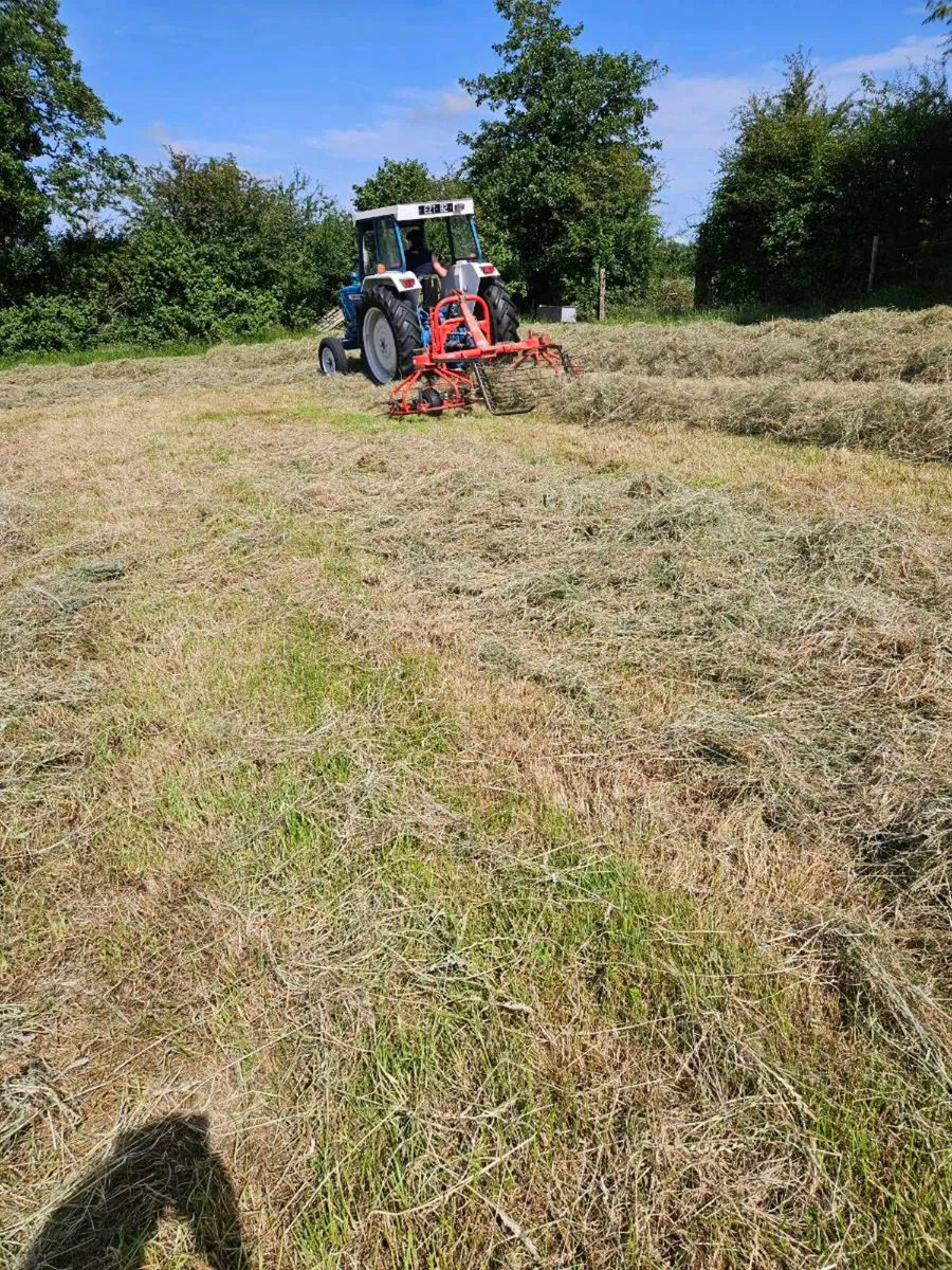 Hay - Image 1