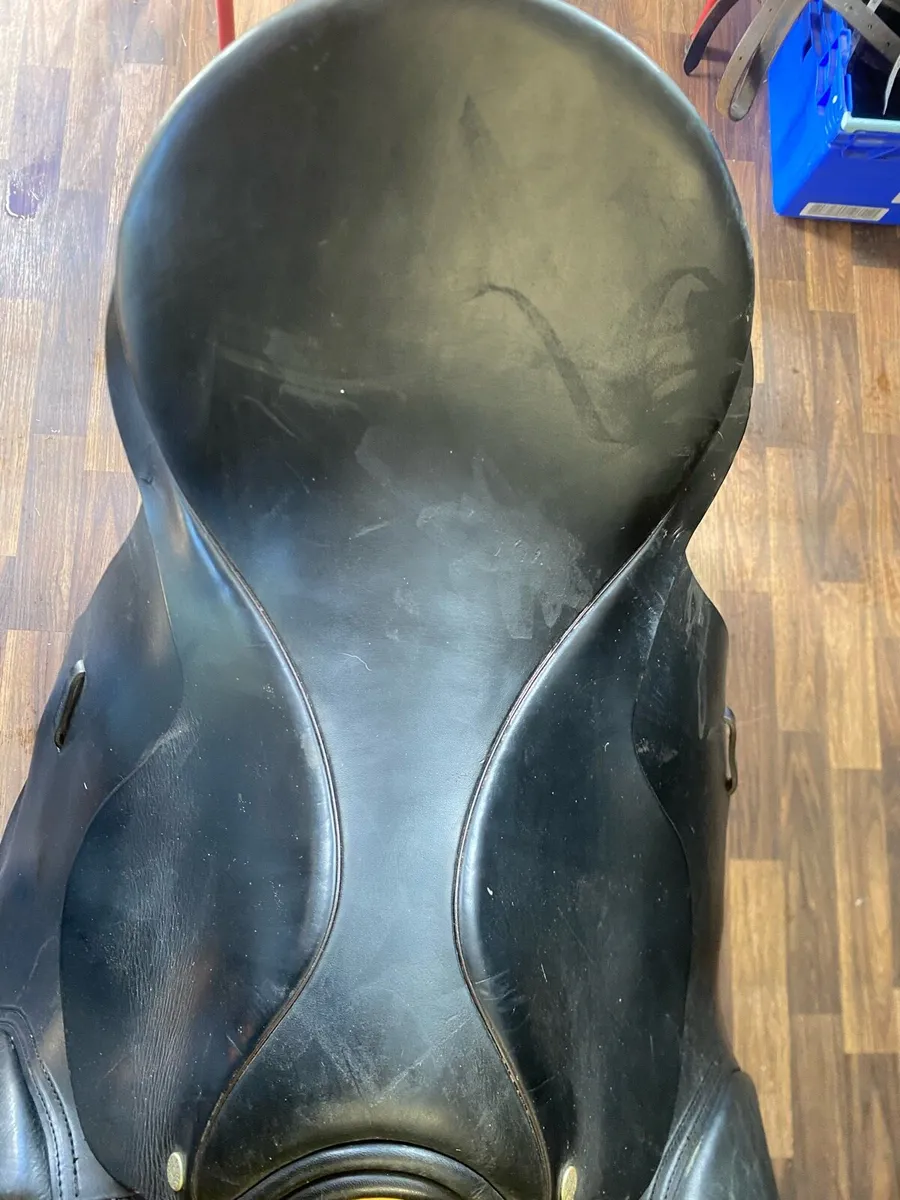 Berney brothers Leather saddle - Image 2