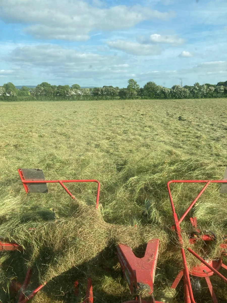 Square bales Hay - Image 4