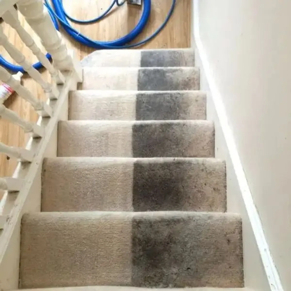 Carpet & Upholstery Cleaning - Image 3