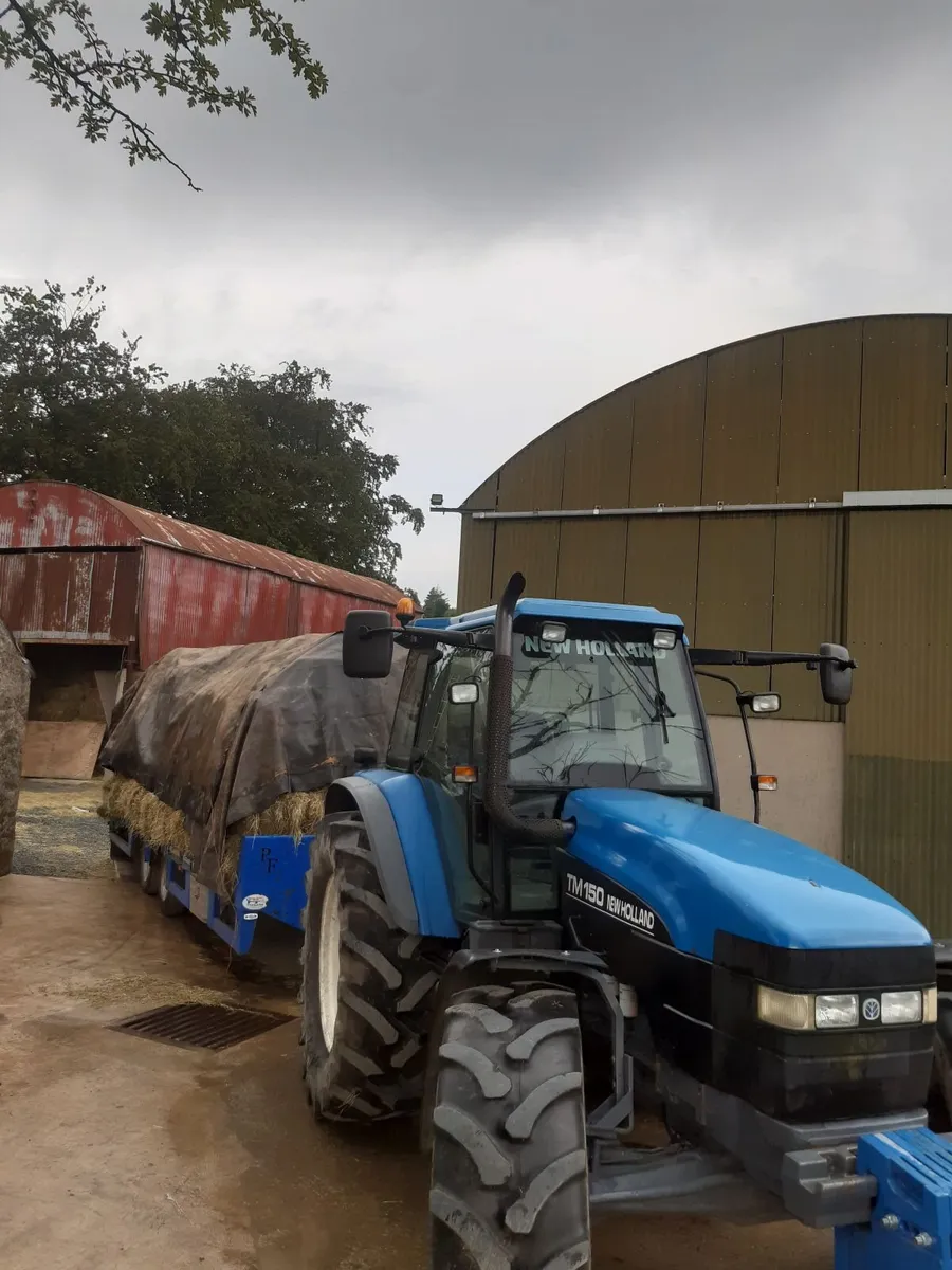 Hay - Image 1