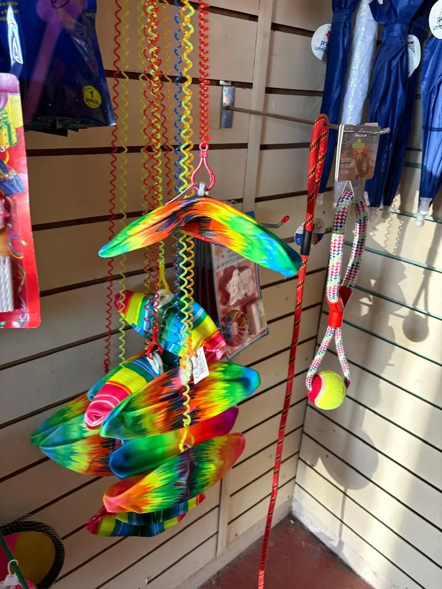 Beach Toy shop contents - Image 3
