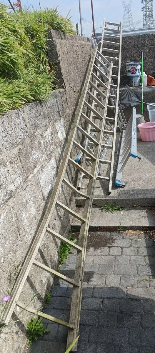 2 x 16 rung ladders,,, - Image 1