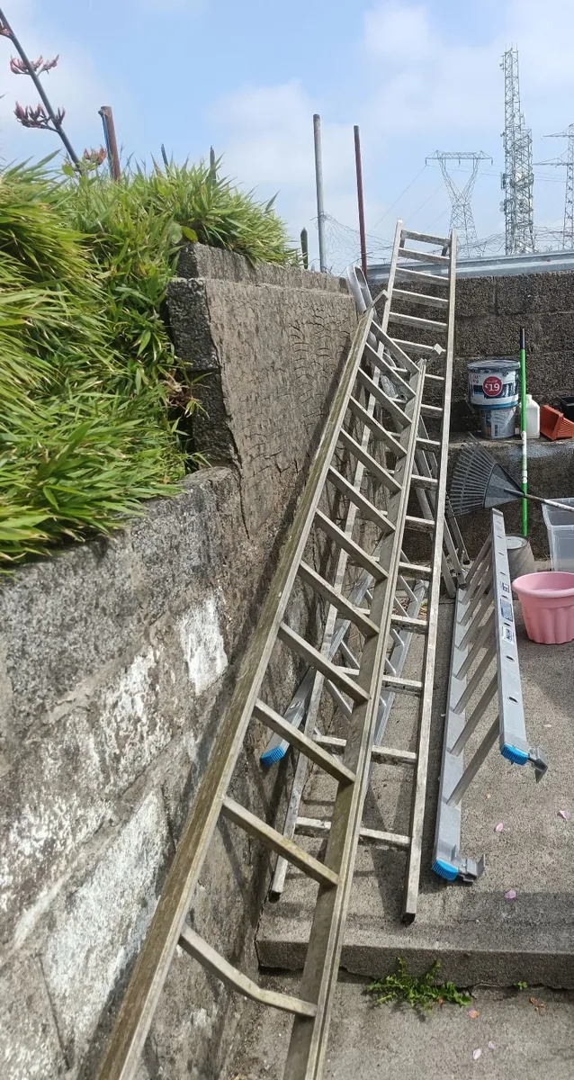 2 x 16 rung ladders,,, - Image 2