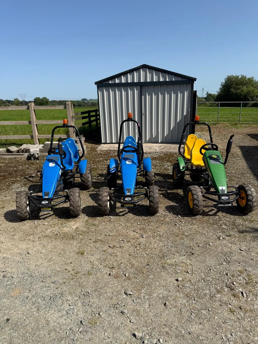Berg Go Karts - Image 1