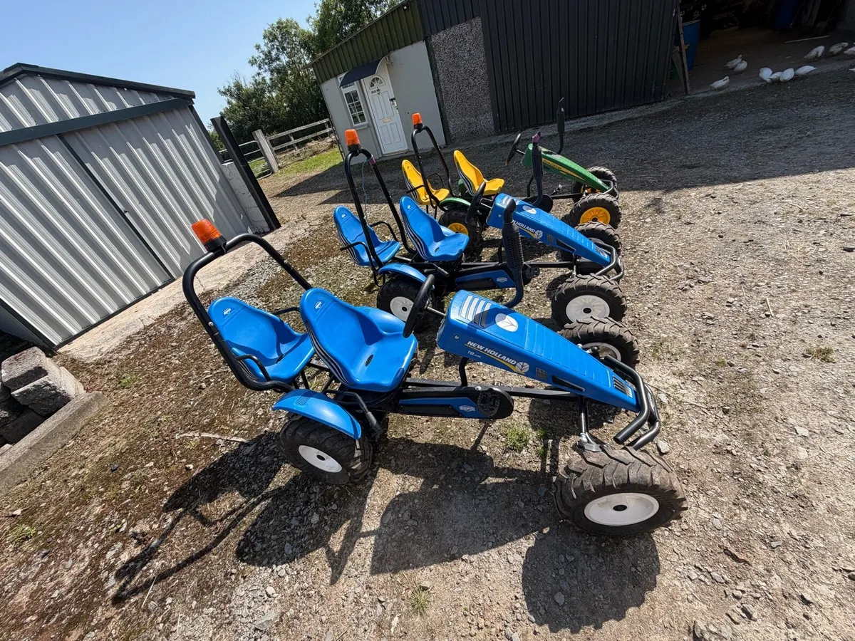 Berg Go Karts - Image 2