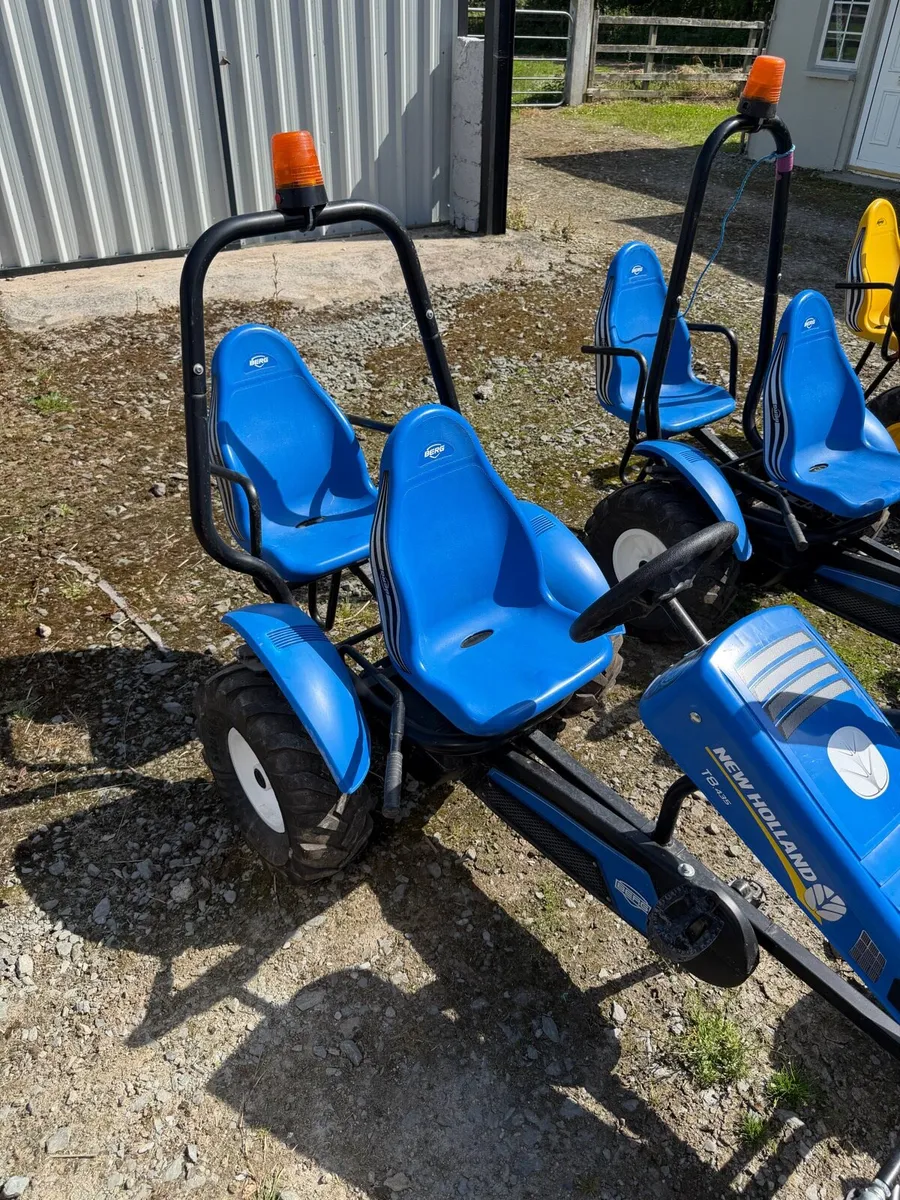 Berg Go Karts - Image 4