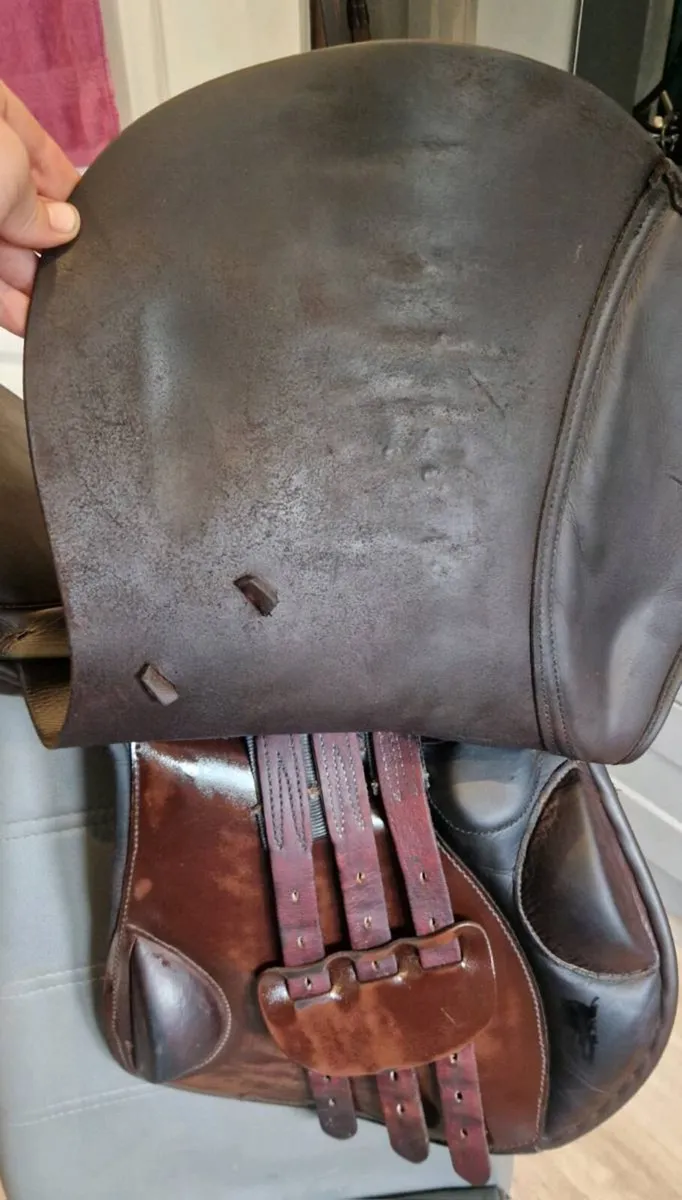 Berney Bros Saddle - Image 4