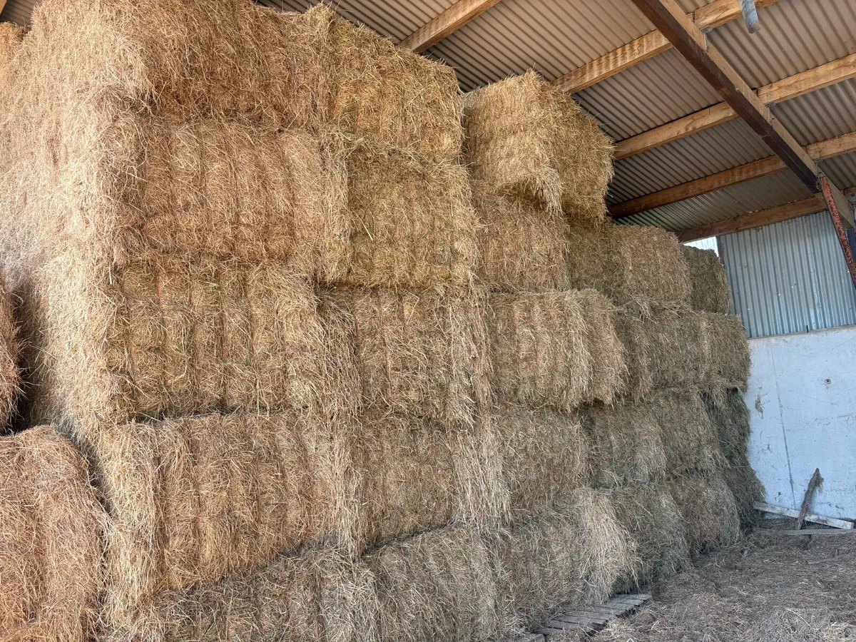 Hay and haylage for sale - Image 4