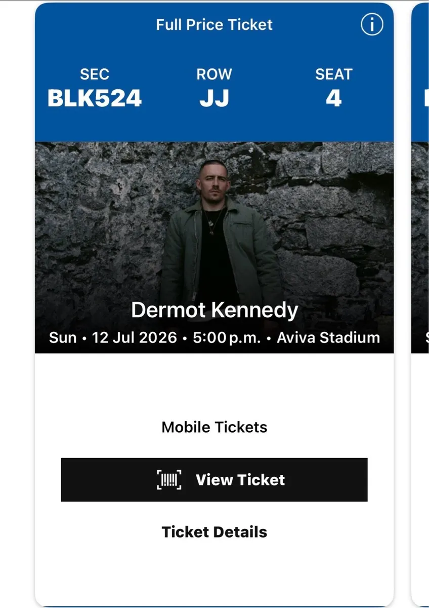 2 Dermot Kennedy tickets - Image 1