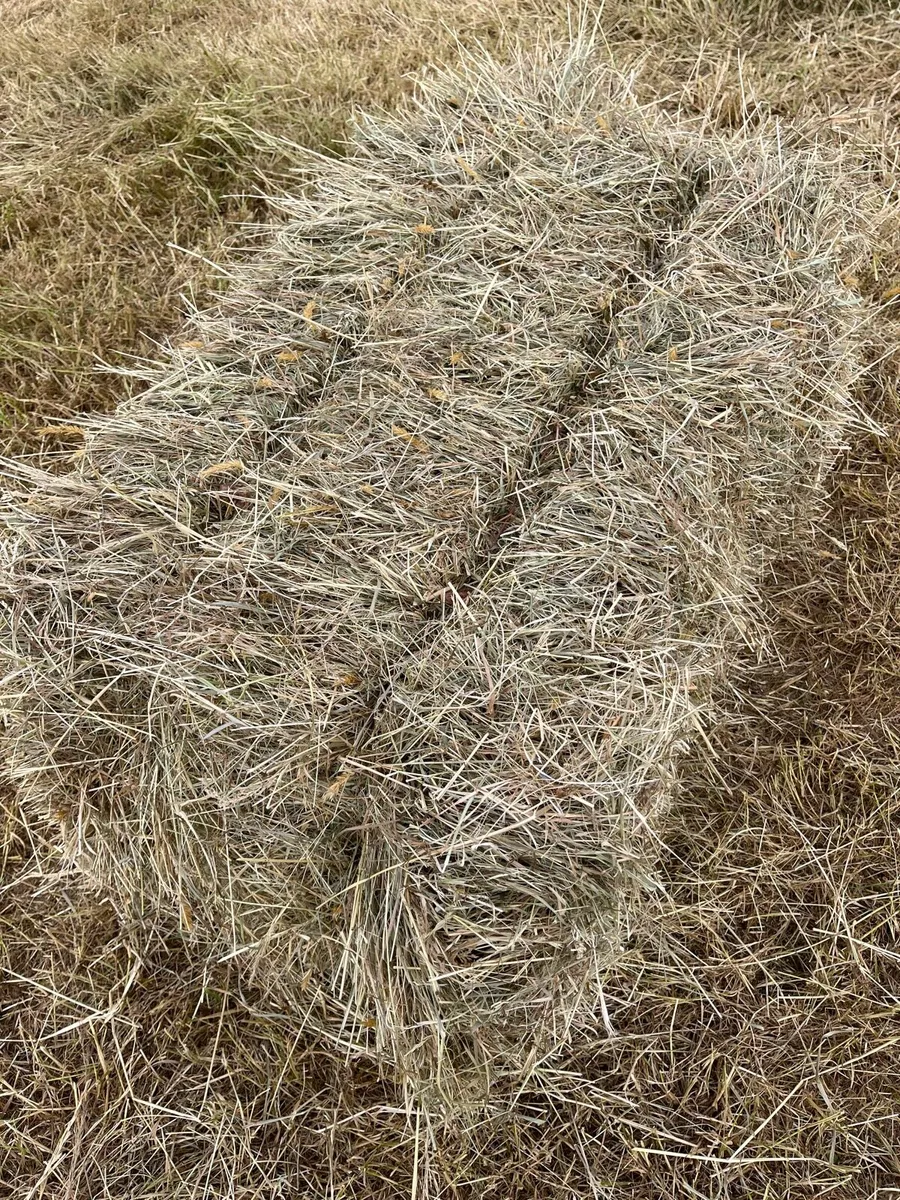 Small Square Bales Of Hay - Image 2
