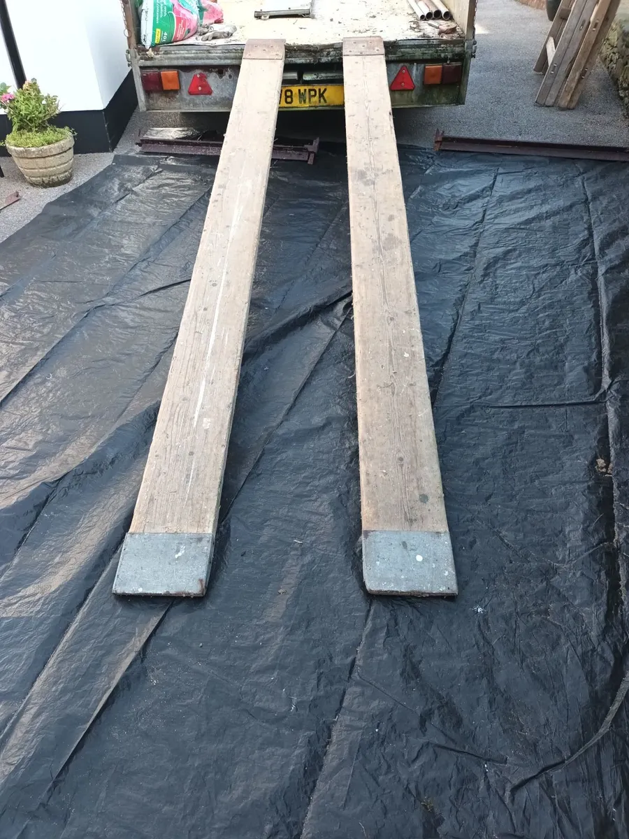 Trailer loading ramps for small plant - Image 2
