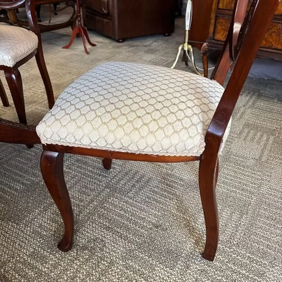 Beautiful antique mahogany roped edge oval shaped - Image 2