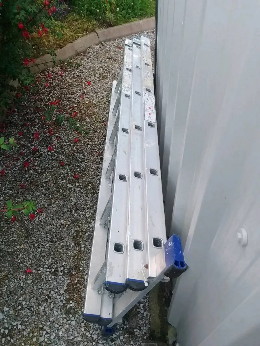Ladder - Image 2