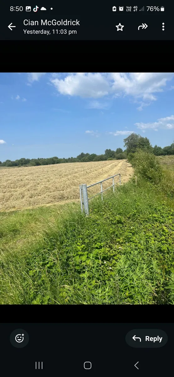 Square bales - Image 1
