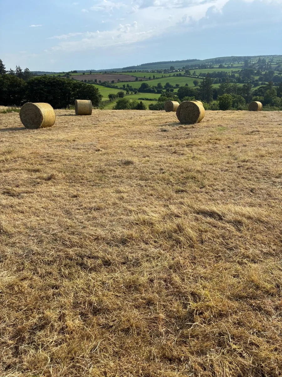 HAY - round bales FOR SALE + Silage bales - Image 1