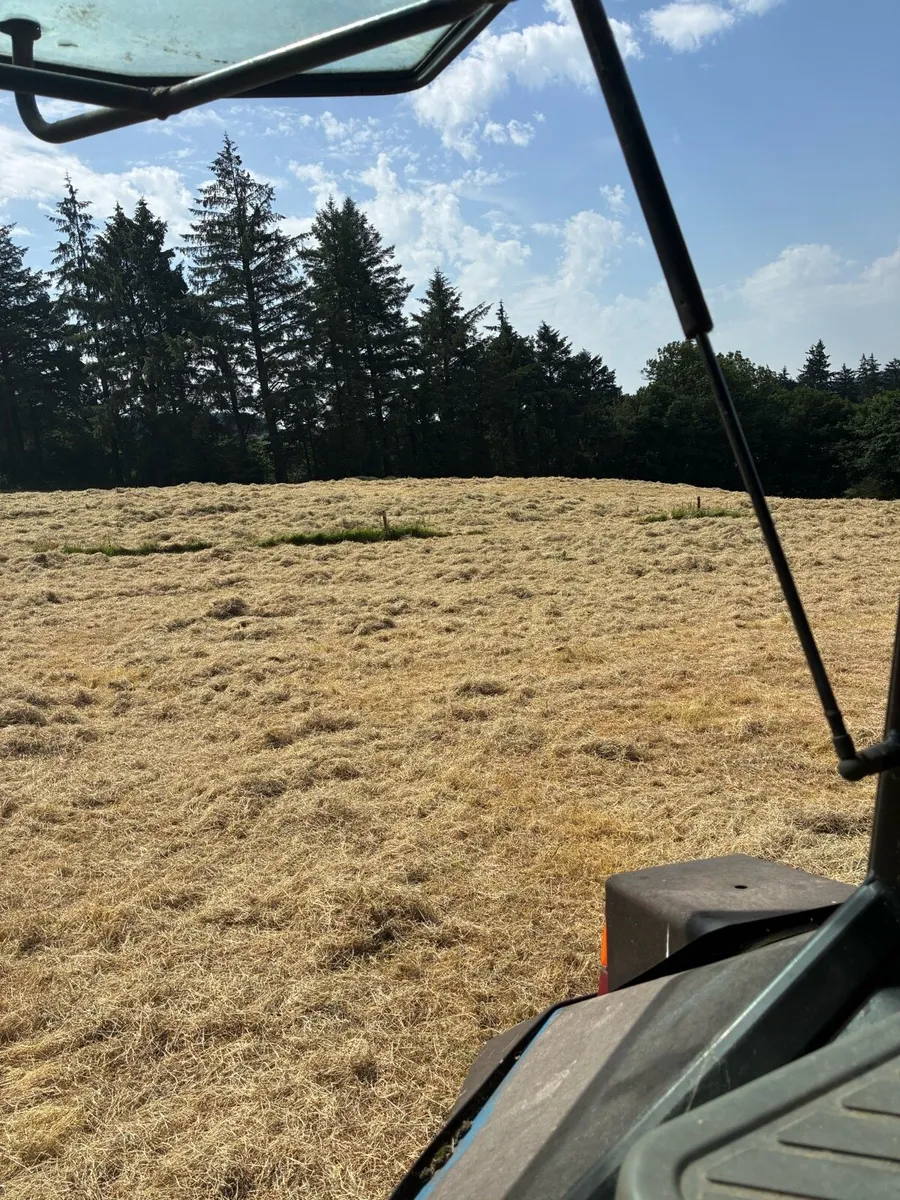 HAY - round bales FOR SALE + Silage bales - Image 2