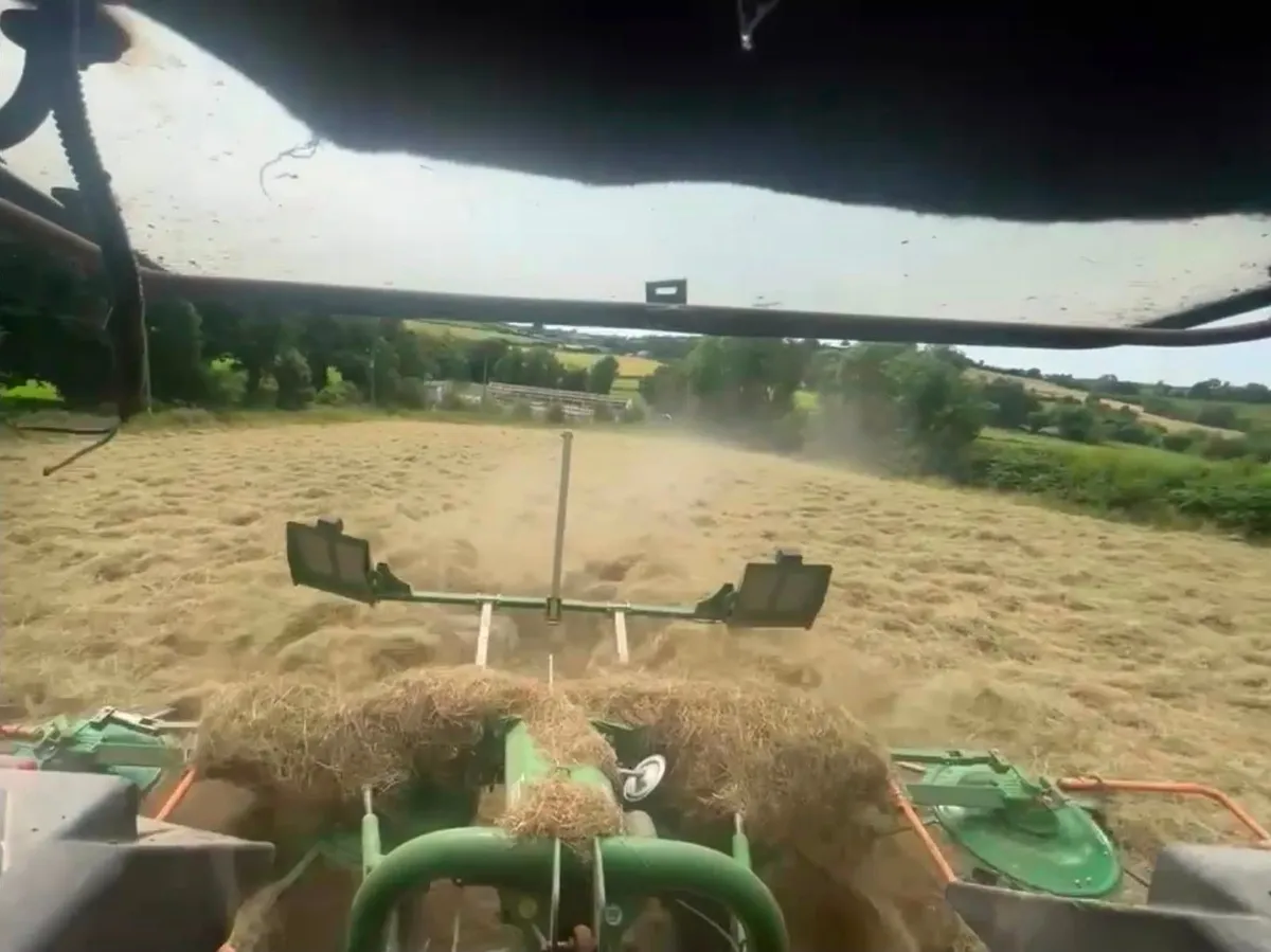 Hay - Image 3