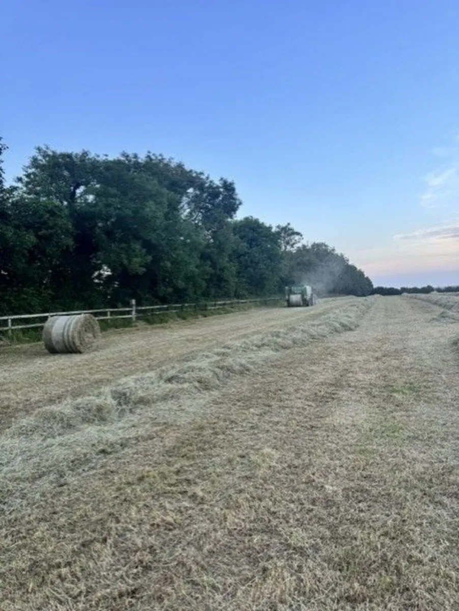 Hay - Image 1