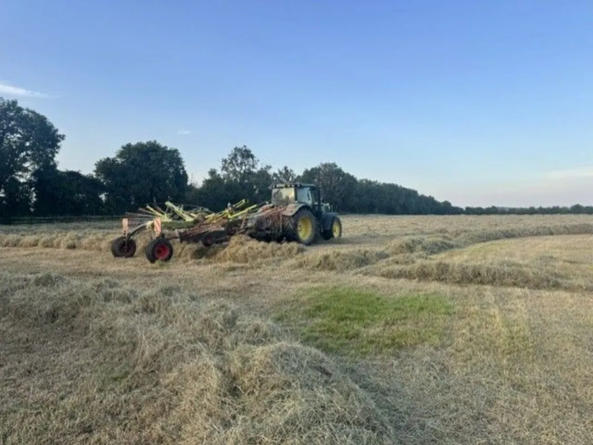 Hay - Image 2