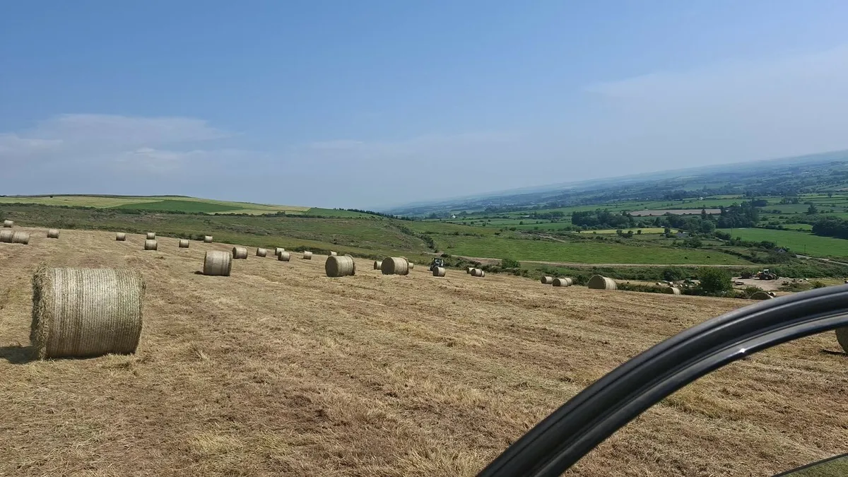 Hay bales - Image 2