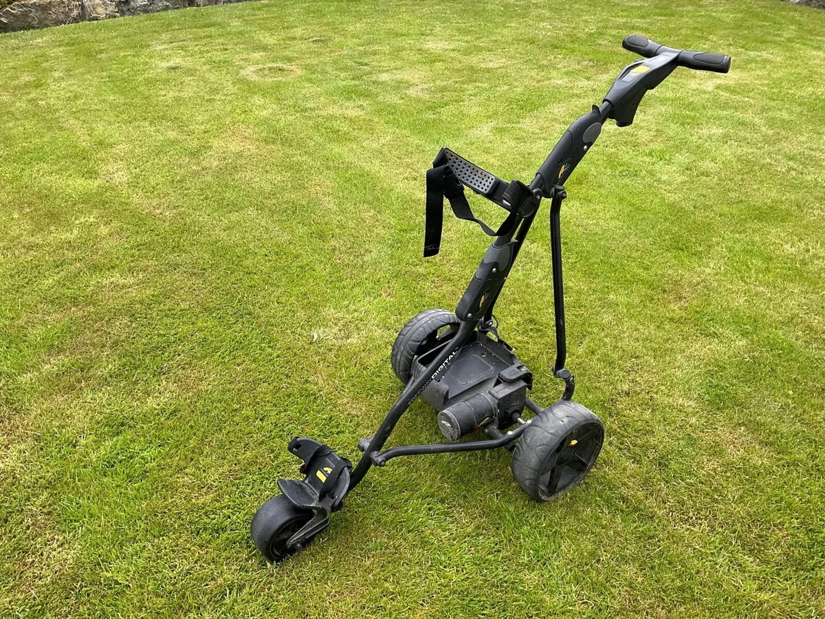 Left hand driver - Image 1