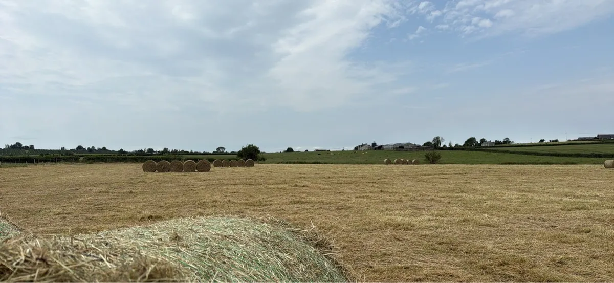 Round bale hay - Image 3