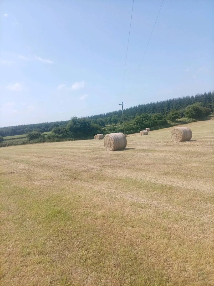 Hay and Haylage