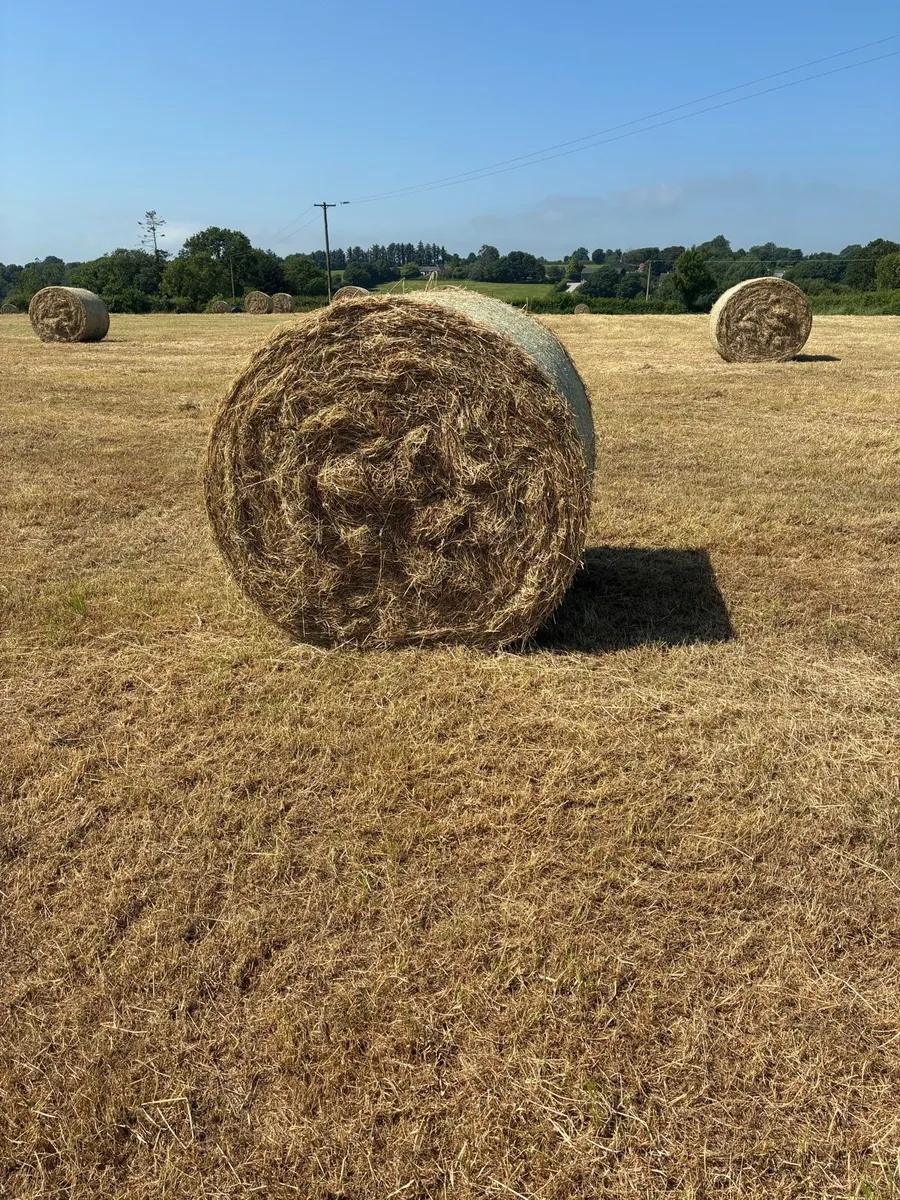 Hay Bales (Round) - Image 1