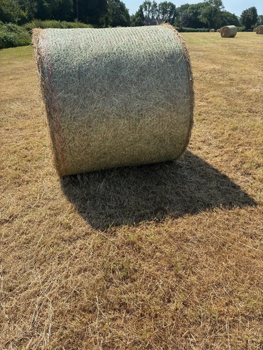 Hay Bales (Round) - Image 2