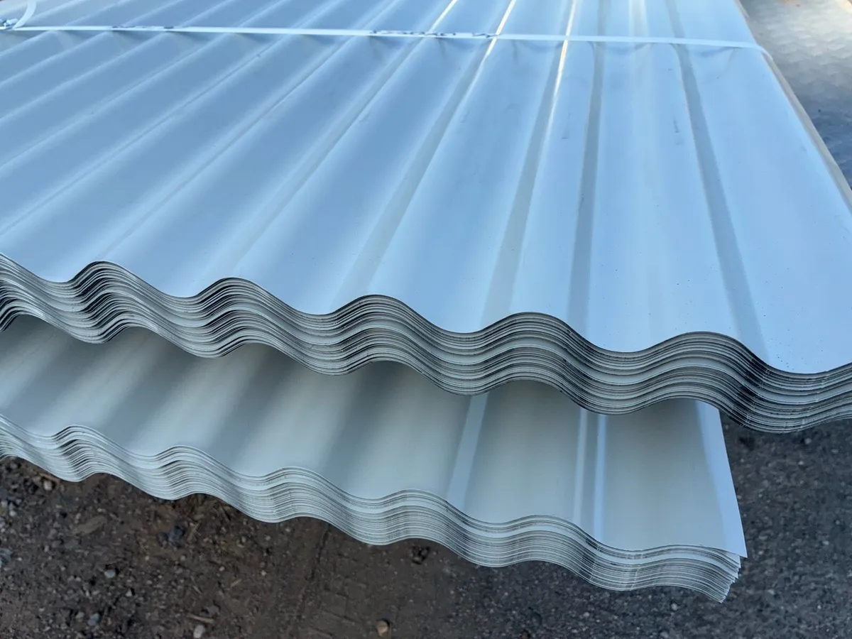 Corrugated roof & side sheeting €2.85 - Image 2