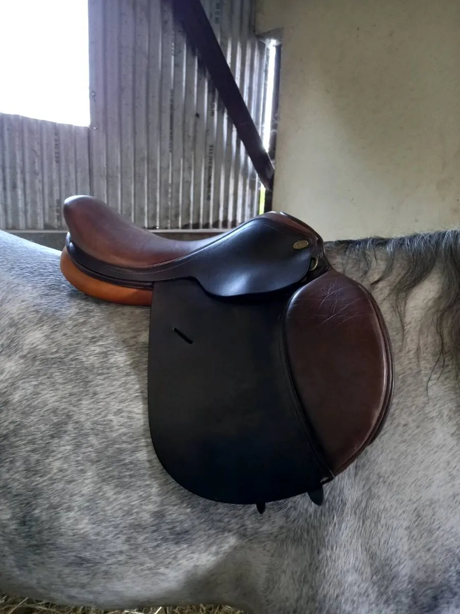 16" saddle - Image 1